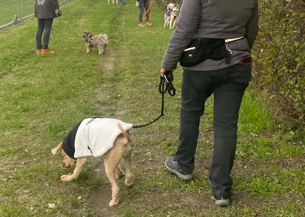 Social walk - Kurs - Monika Pozarek